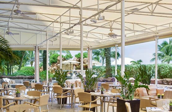 Dining Canopies