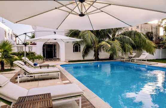 Patio Umbrellas